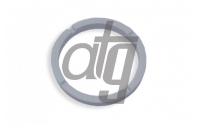 Стопорное кольцо AUDI A4/A6 2004-2008 ZF